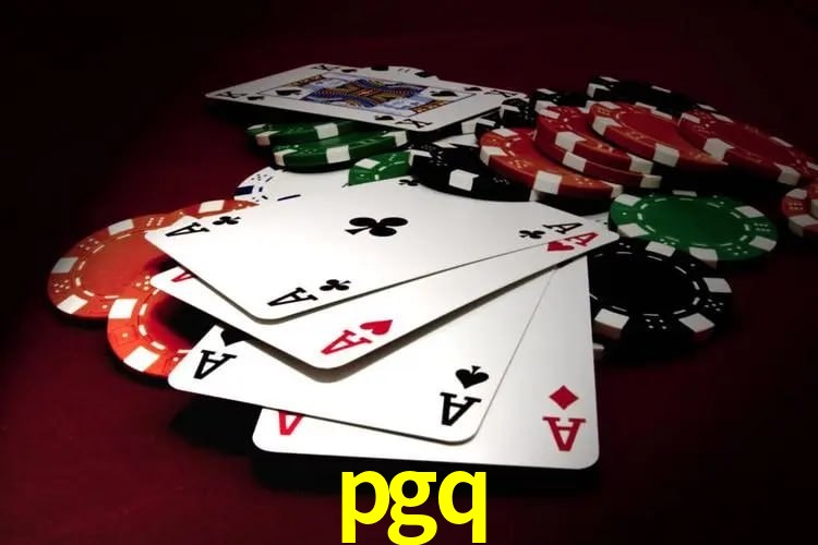 Interface Premium pgq